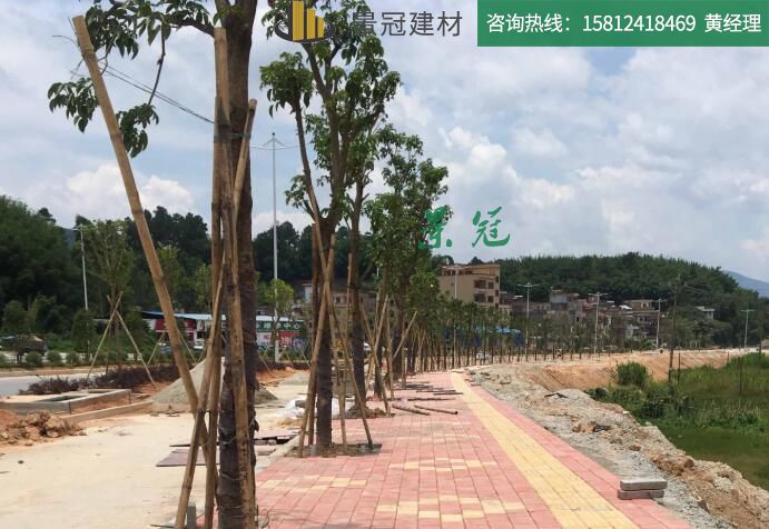 肇慶廣寧大道